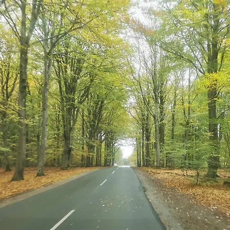 7 Person In Henne-by Traum 度假居 亨讷斯特兰德