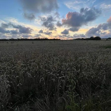 度假居 7 Person In Henne-by Traum