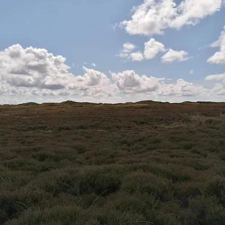 度假居 7 Person In Henne-by Traum