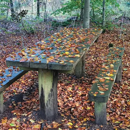 7 Person In Henne-by Traum * 亨讷斯特兰德